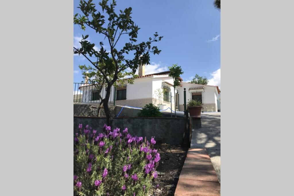 Casa Dimas Vila Cómpeta Exterior foto